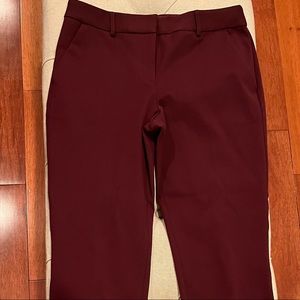 Express burgundy columnist dress pants size 6